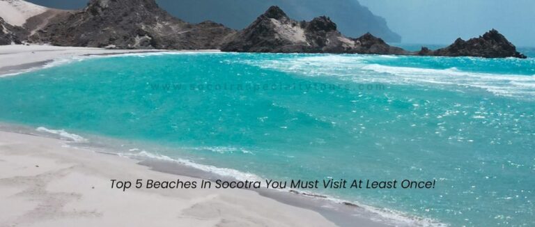 Top 5 Beaches In Socotra You Must Visit At Least Once